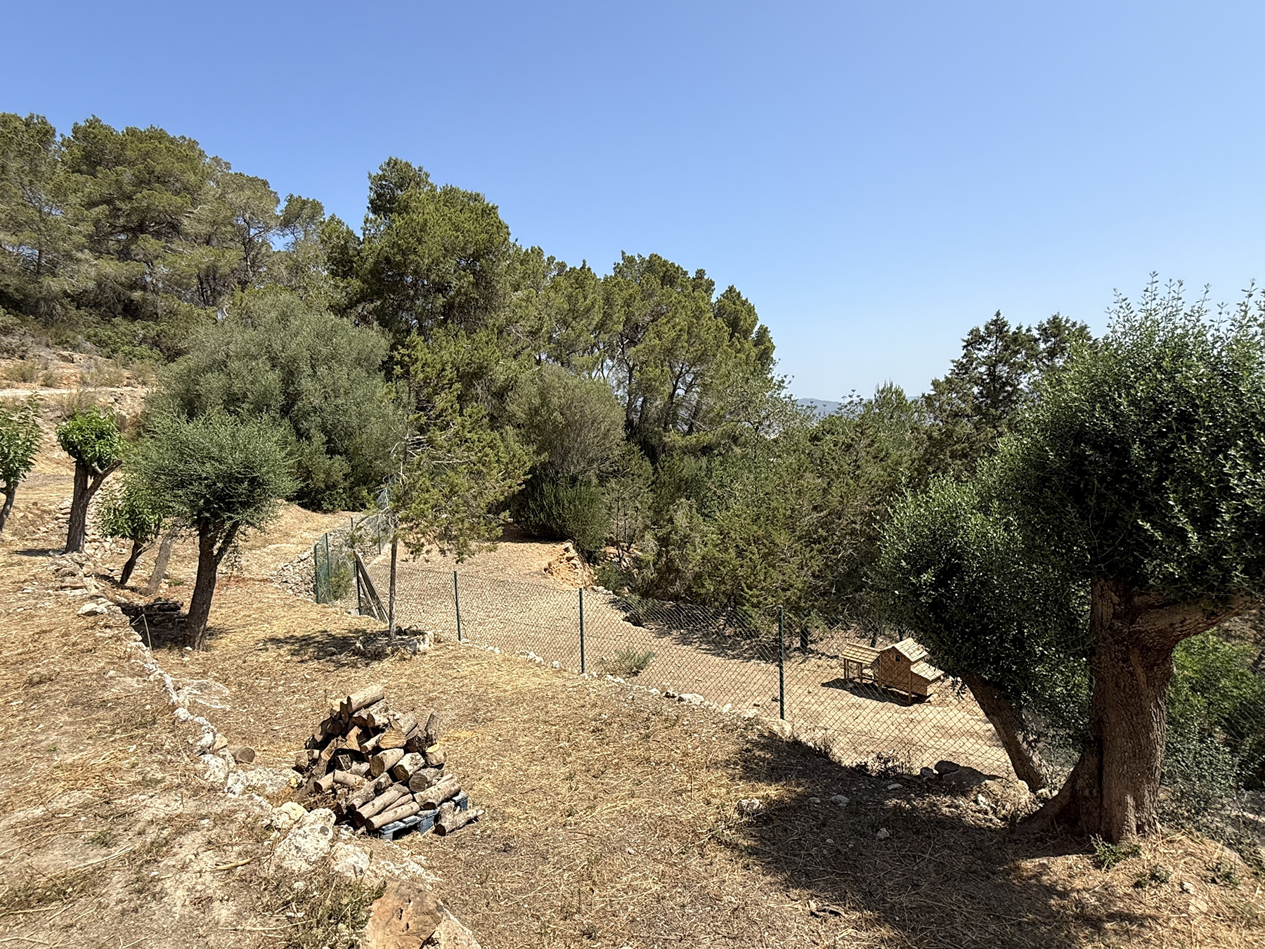 Resa Estates Ibiza koop  finca sale san augustin campo .jpeg